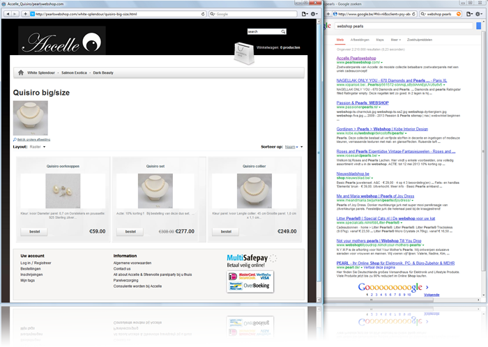 referentie webshop
